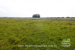 INICIO TOURO.00_02_12_11.Quadro012_6b32a819b5f030c7cb58d850a6c052f96565056f.jpg